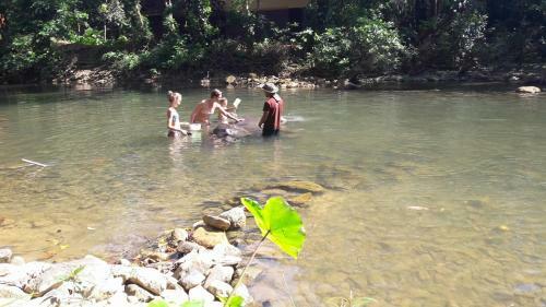 Hotel Khao Sok Holiday Resort