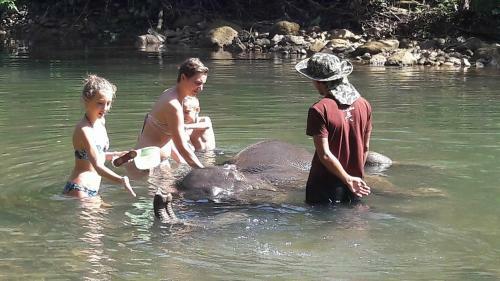 Hotel Khao Sok Holiday Resort