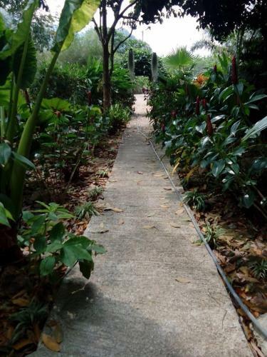 Hotel Khao Sok Holiday Resort