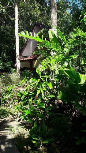 Hotel Khao Sok Holiday Resort