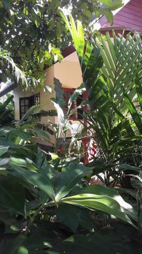 Hotel Khao Sok Holiday Resort