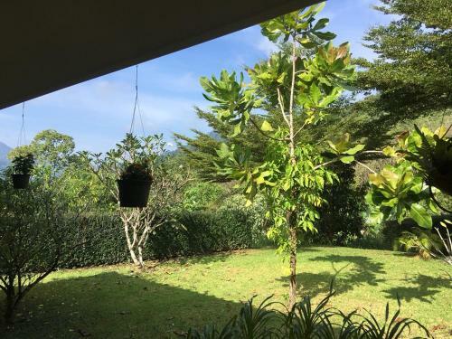 Hotel Khao Sok Hill Top Resort