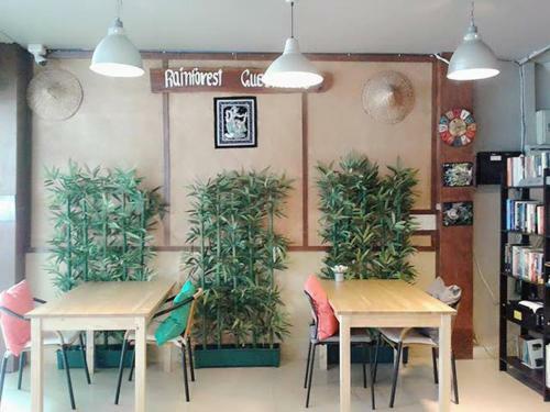 Hostal Rainforest Guest House