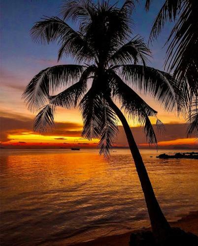 Sibaja Palms Sunset Beach Luxury Apartments