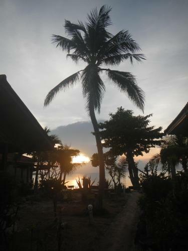 Hotel Sunrise Bungalow