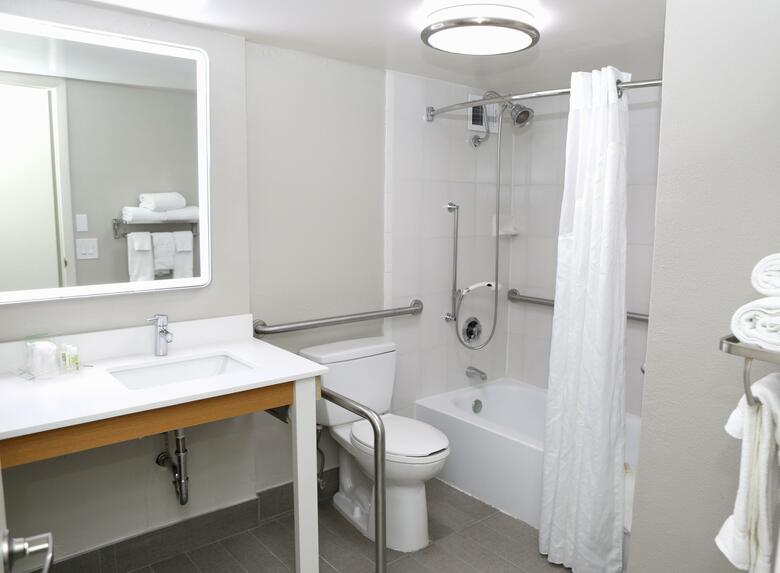 Hotel Holiday Inn Chicago O'hare