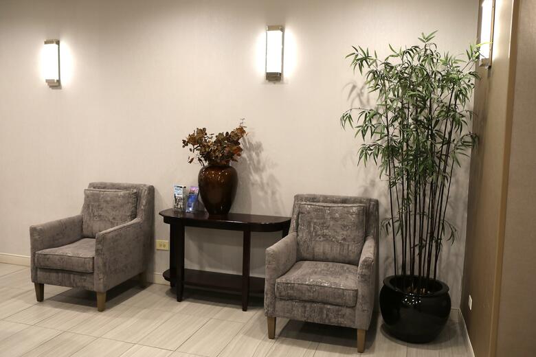 Hotel Holiday Inn Chicago O'hare