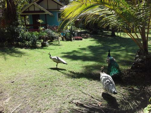 Hotel Racha Sunset Resort