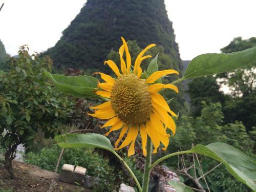 Posada Lucy's Hotel