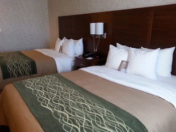 Hotel Comfort Inn (watsonville)