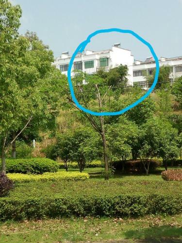 Posada Huangshan Bed And Breakfast