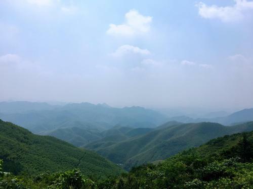Bed & Breakfast Moganshan Bamboo View Guesthouse
