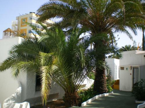 Bungalows Tenesoya Adults Only