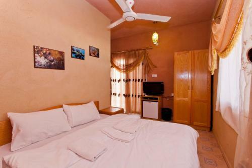 Hotel Arab Divers