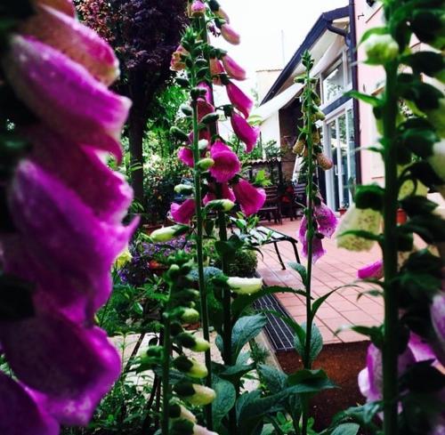 Bed And Breakfast Villa Franca