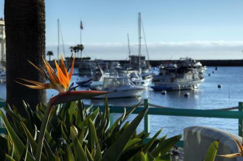 The Avalon Hotel In Catalina Island