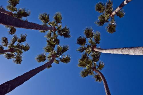 The Avalon Hotel In Catalina Island