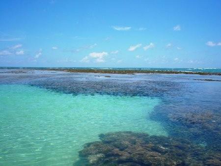 Casa M�gica Na Praia Dos Carneiros