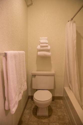 Motel Downtowner Inn
