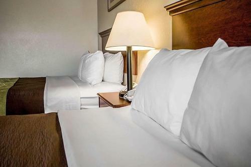 Hotel Quality Inn & Suites Delaware