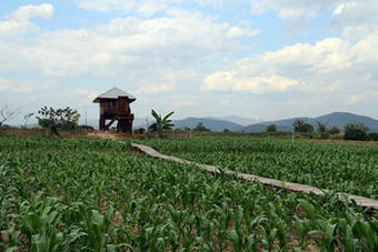 Hotel Chiang Dao Privacy