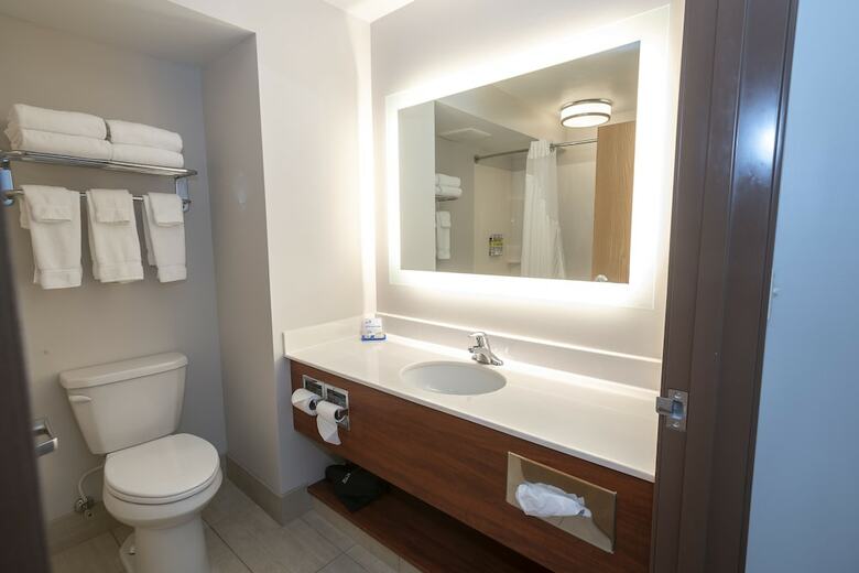 Holiday Inn Express Hotel & Suites Iron Mountain