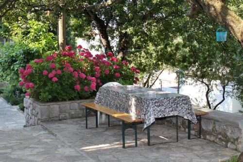 Hostal Apartment Klenovica 5580b