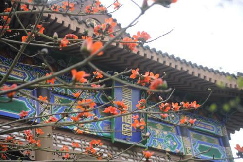 Eadry Royal Garden Hotel Haikou