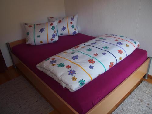 Apartamento Haus Seekopf