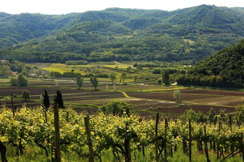 Agroturismo Fattoria Le Vegre