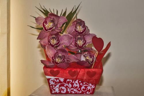 Bed & Breakfast L'orchidea Di Ale