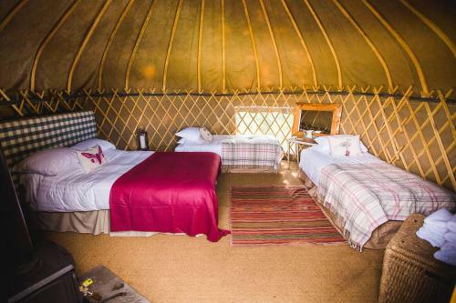 Rock Farm Slane - Glamping