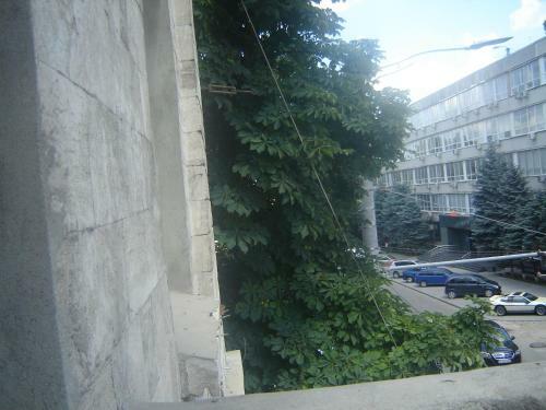 Apartments For Rent In Downtown