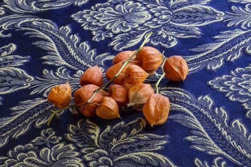 Hotel Osteria Alla Pasina