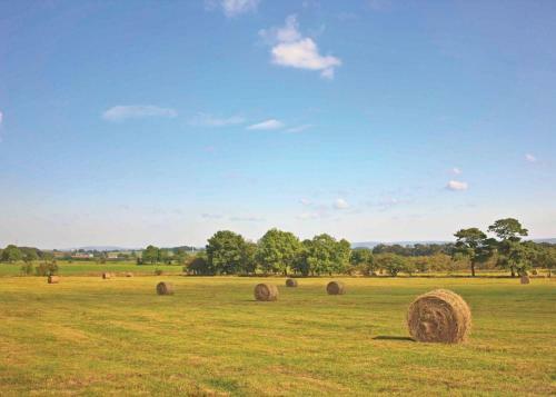 Bowland Fell Park