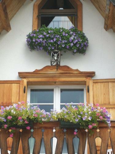 Hotel Quinz - Locanda Al Lago