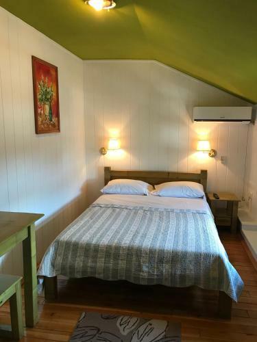 Hostal Pensiunea Iona
