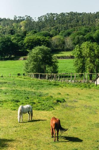 Quinta De Pindela - Natureza E Tradicao