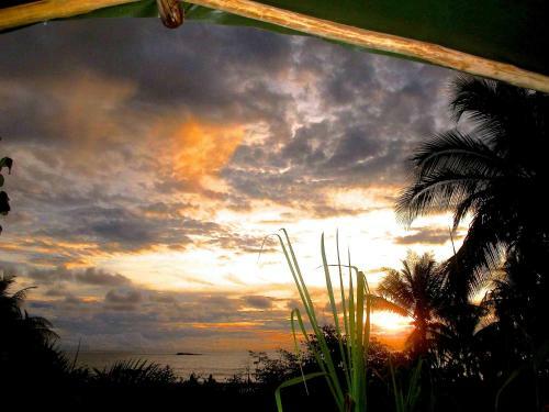 Hotel Guaria De Osa Ecolodge