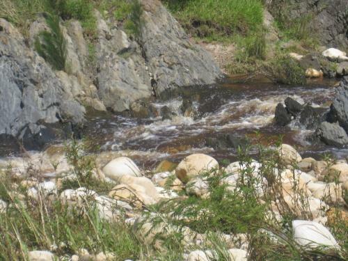 Bed & Breakfast Swelln2 Farm Lodge