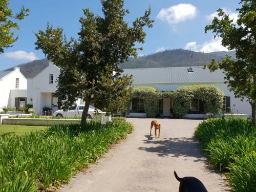 Bed & Breakfast Kurlandpark