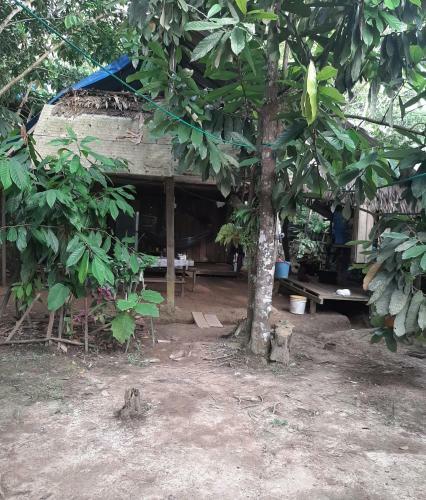Comunidade Do Xingu Camping Side