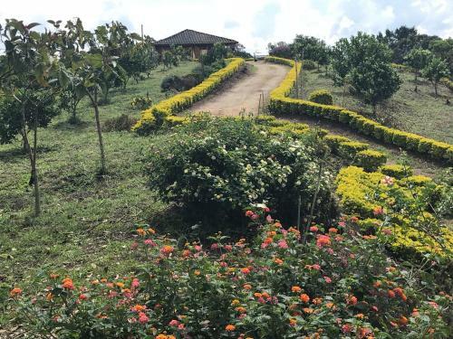 Hostal Finca El Recreo