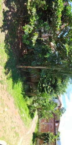Bed & Breakfast Pouso Cantinho Dos Sabias