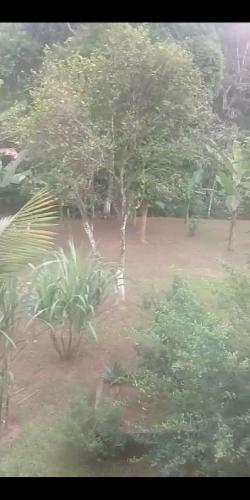 Bed & Breakfast Pouso Cantinho Dos Sabias