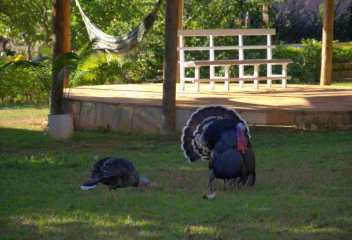 Agroturismo Est�ncia Agnus Dei