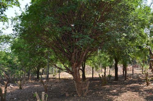 Agroturismo Est�ncia Agnus Dei