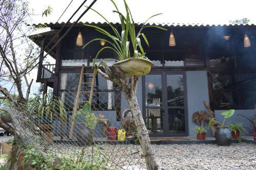 Lodge Luckydaisy Buffalo House