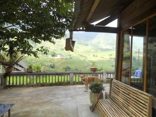Lodge Luckydaisy Buffalo House