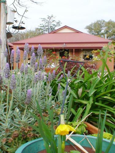 Hotel Albury Cottages
